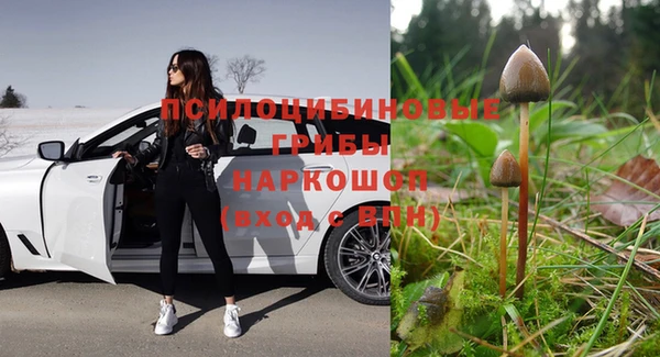трава Горнозаводск