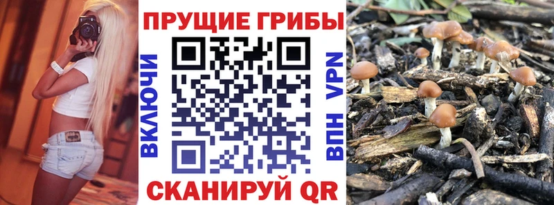 Галлюциногенные грибы MAGIC MUSHROOMS  Нязепетровск 